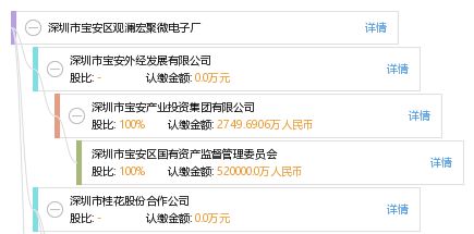 深圳市寶安區(qū)觀瀾宏聚微電子廠